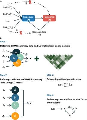 Mendelian Randomization With Refined Instrumental Variables From Genetic Score Improves Accuracy and Reduces Bias